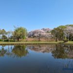 行田市の観光でおすすめのモデルコース！歴史と自然を探訪